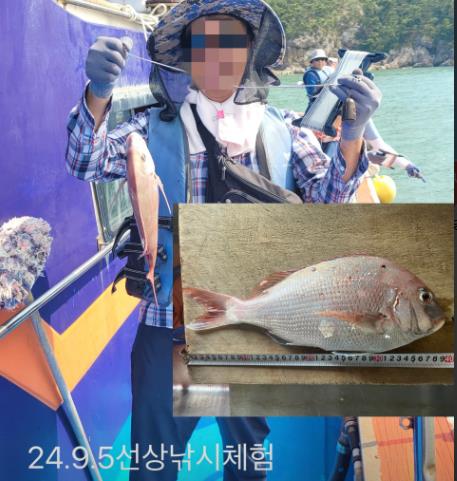 군산 신시도 은성민박 이미지 3