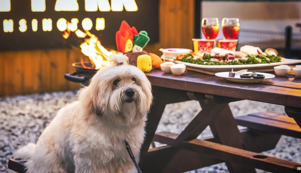 켄싱턴리조트 충주 이미지 4