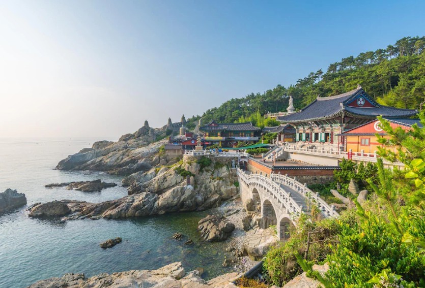 부산 마티에 오시리아 이미지 12