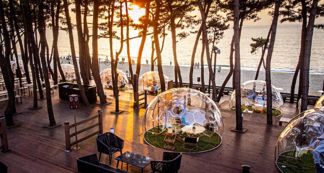 태안 아일랜드 리솜 이미지 8