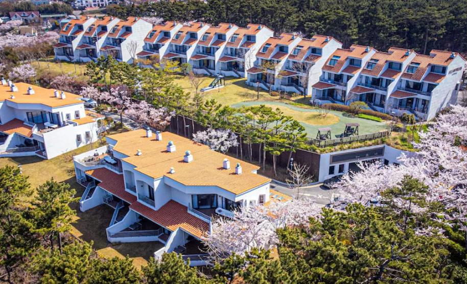 태안 아일랜드 리솜 이미지 10