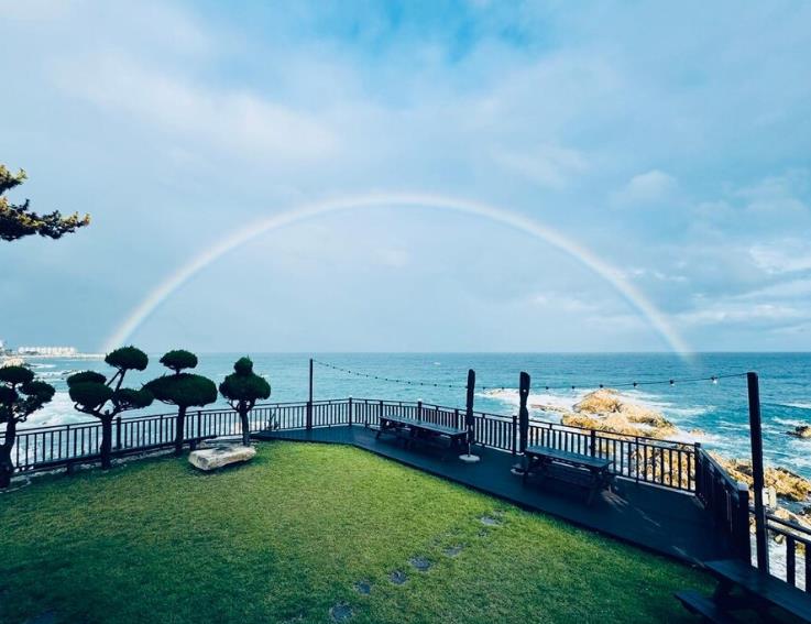 경주 엘마르펜션 이미지 6