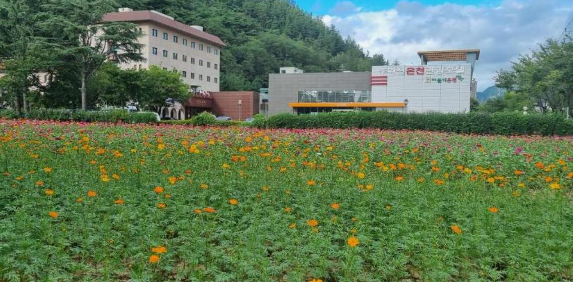 주왕산 온천 관광 호텔 이미지 7