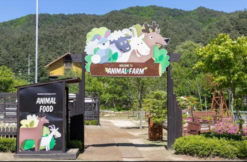 켄싱턴호텔 평창 이미지 10