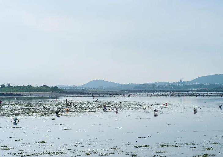 브리즈베이 호텔 이미지 7