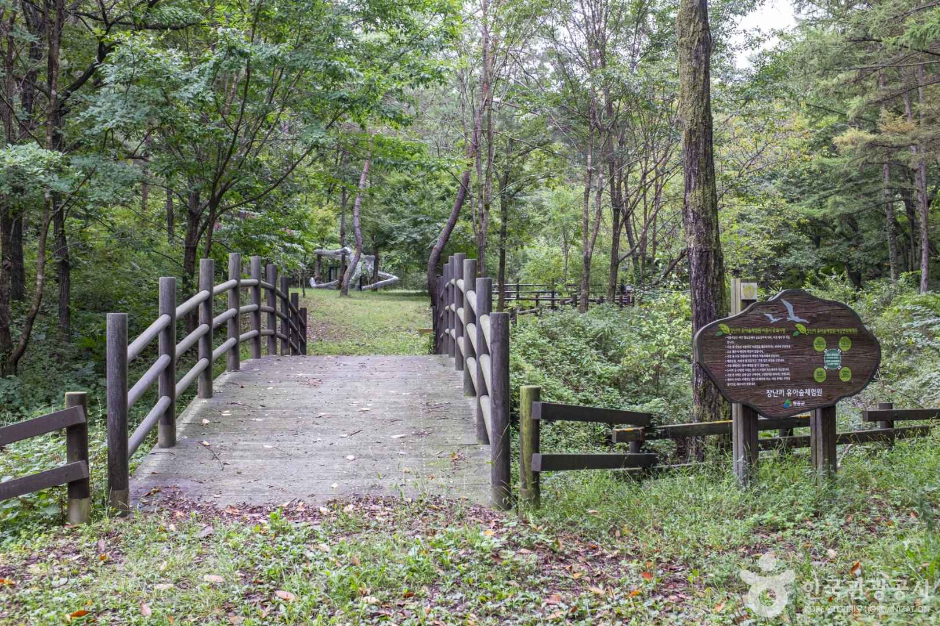 청송 자연휴양림 이미지 8