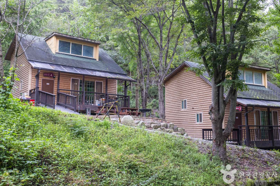 청송 자연휴양림 이미지 2