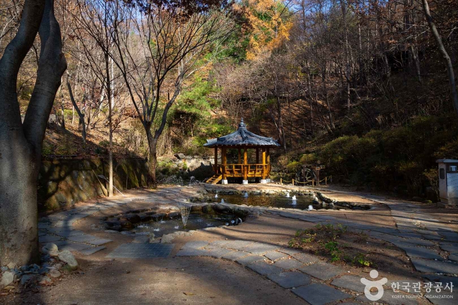 만인산 자연휴양림 이미지 5