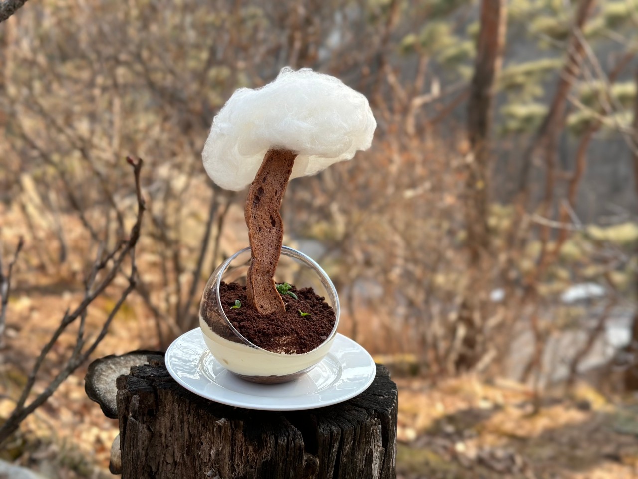 라드라비 카페 & 베이커리 이미지 7