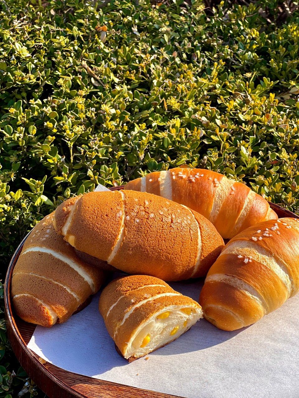 갤러리밥스 이미지 7