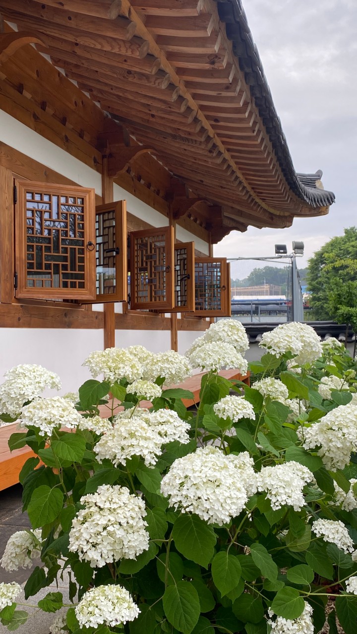 푸른 한옥 이미지 1