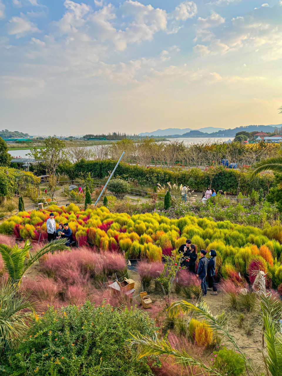 비아조 이미지 8