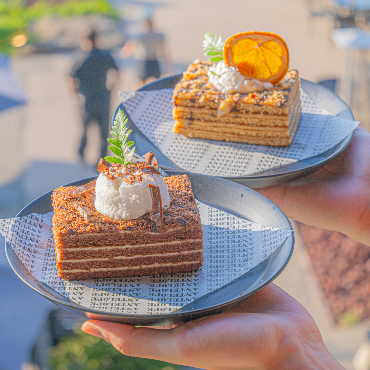 엔틸로프 이미지 6