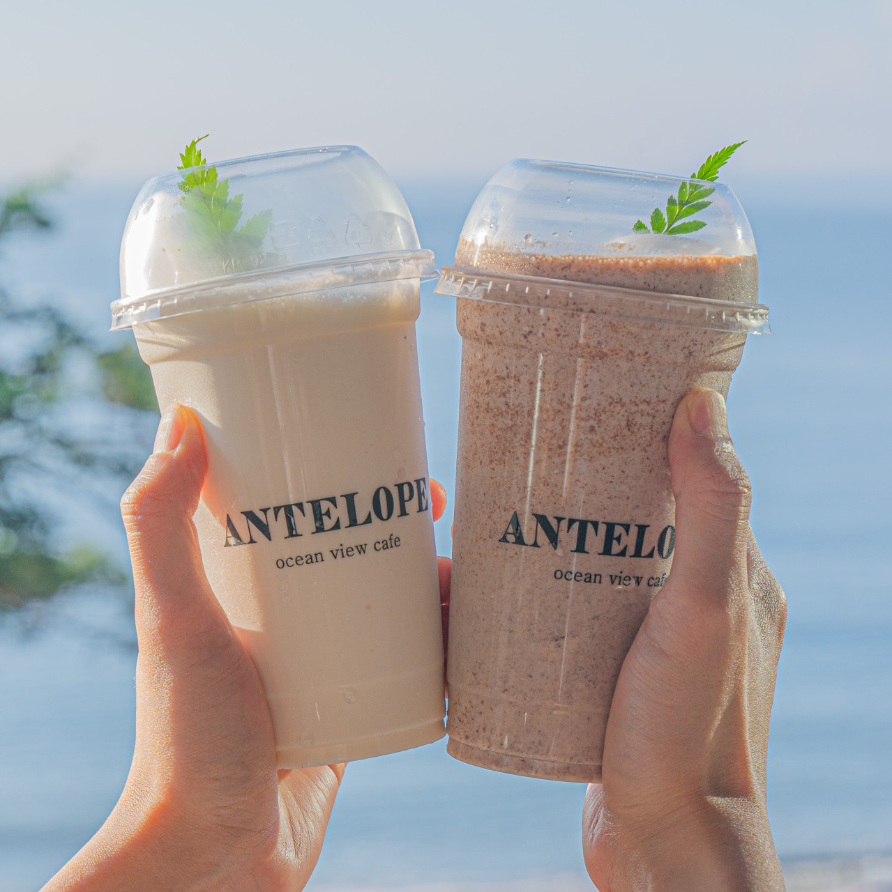 엔틸로프 이미지 5