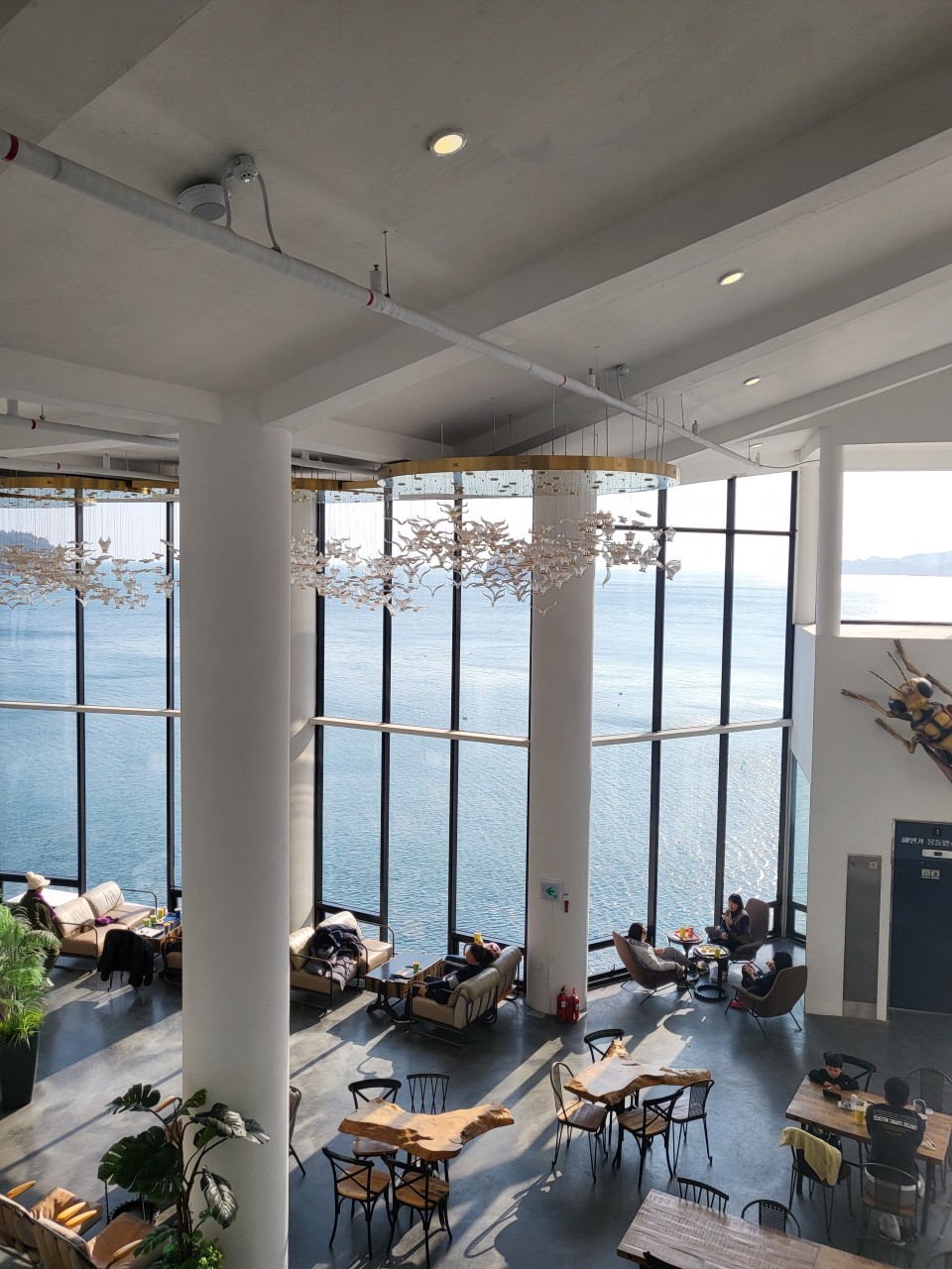 카페 라피끄 이미지 3