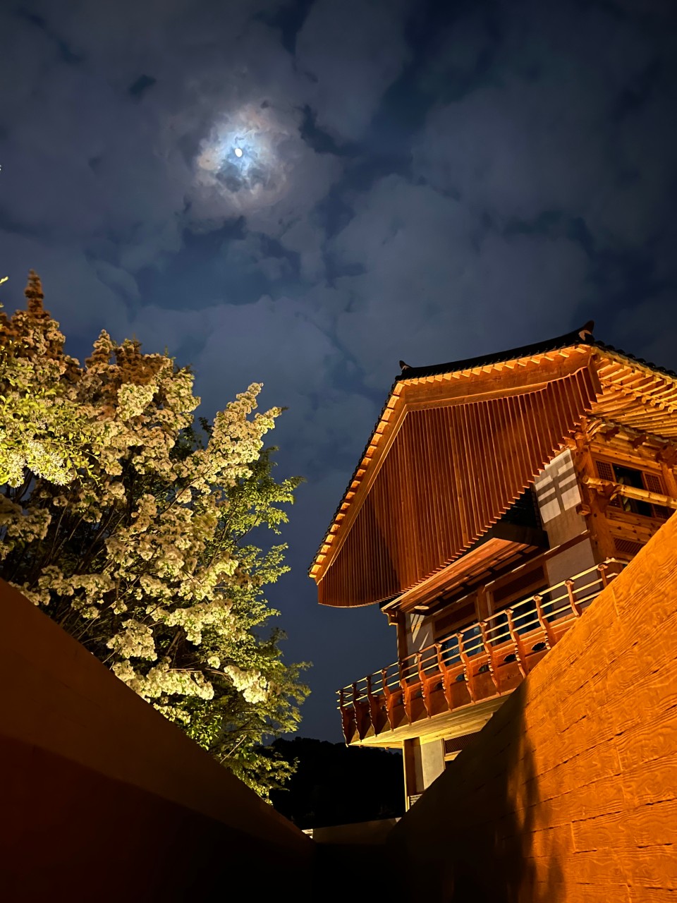 인문아카이브 양림 & 카페 후마니타스 이미지 1