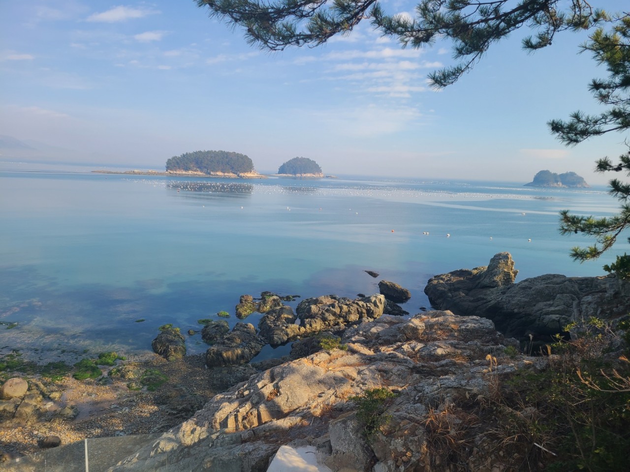 카페 라피끄 이미지 8