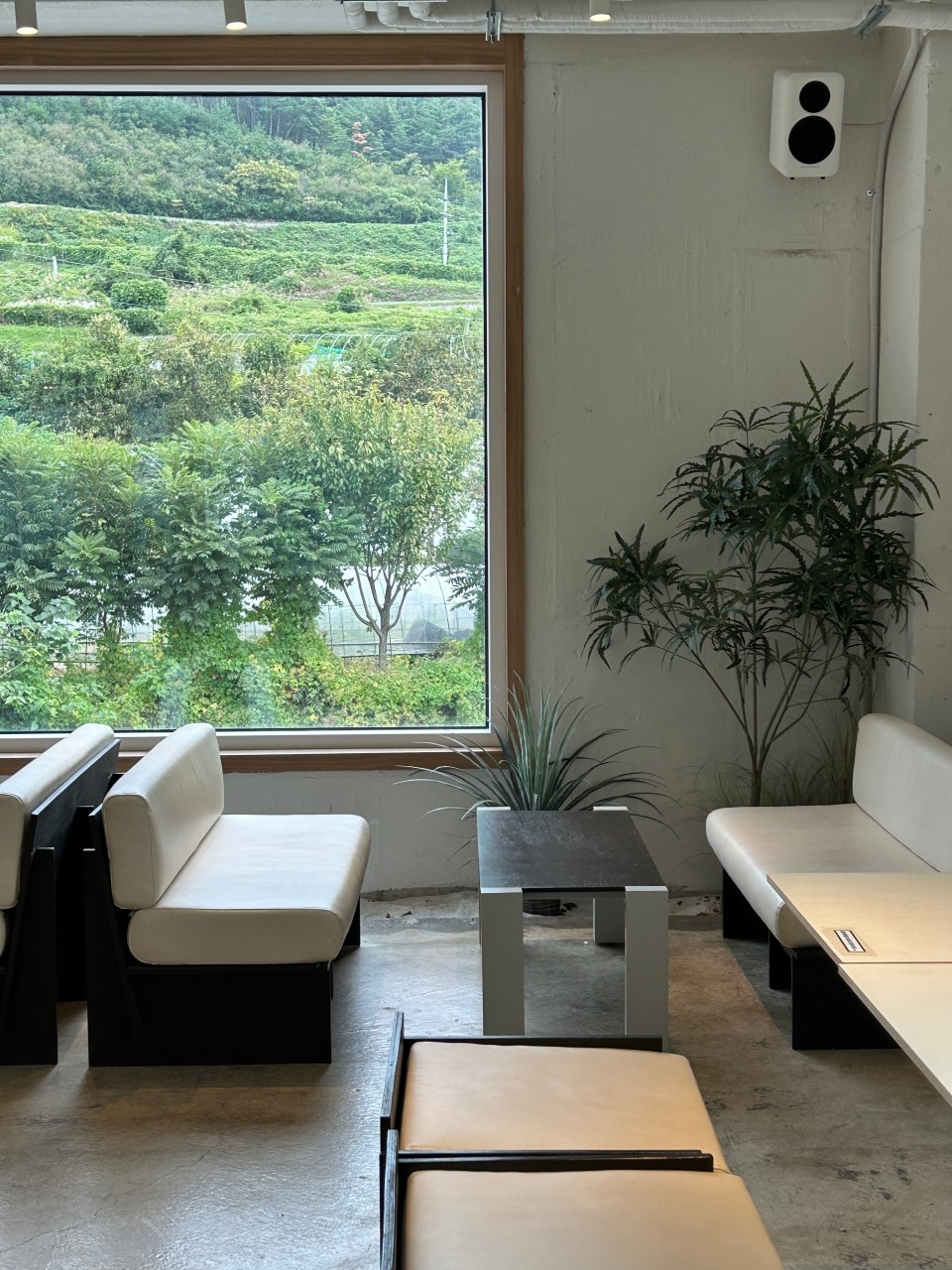 바토플루이르 화원송해 이미지 5