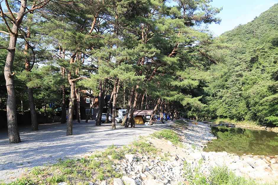 영월 솔밭캠프장 이미지 6