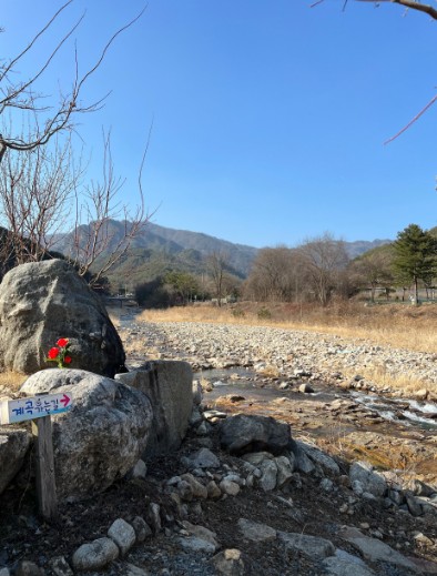 영월 자연이랑캠프 이미지 3