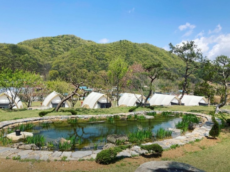 세종 다온숲 캠핑장 이미지 6