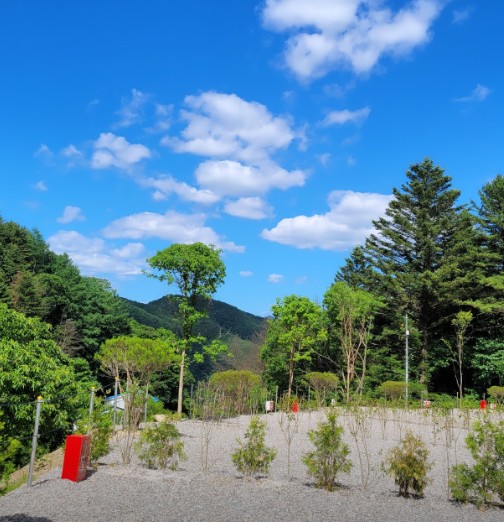 우니메이카 춘천점 이미지 3