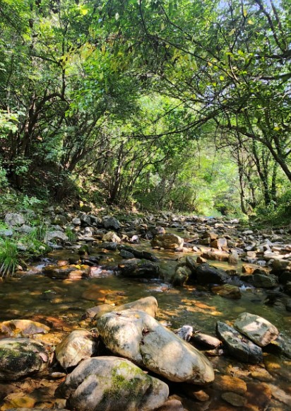 행운캠핑 이미지 8