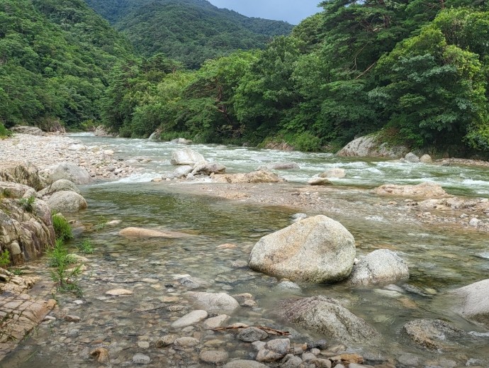 오색장군바위오토캠핑장 이미지 4