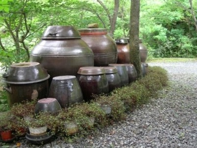 산속의마을 이미지 6