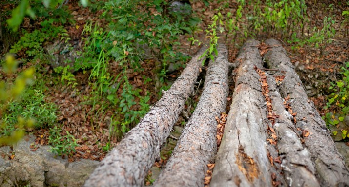 춘천하늘캠핑장 이미지 6