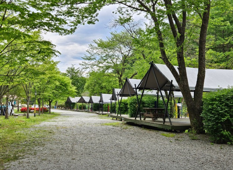 춘천캠핑월드 이미지 5