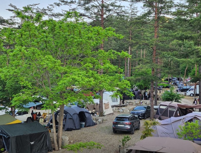 덕풍계곡 별빛야영장 이미지 4