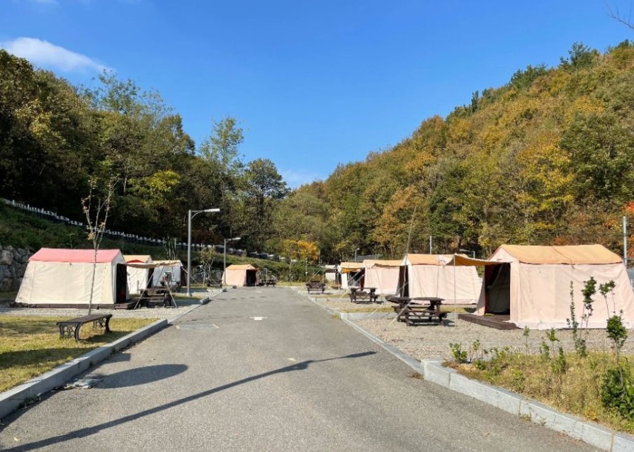 세종 합강캠핑장 이미지 2