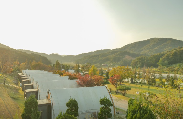 세종 다온숲 캠핑장 이미지 7