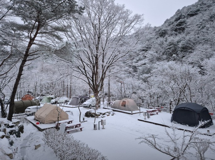 청평사국민여가캠핑장 이미지 3