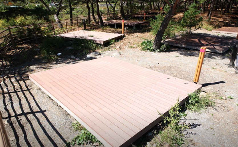 회동 솔향캠핑장 이미지 2