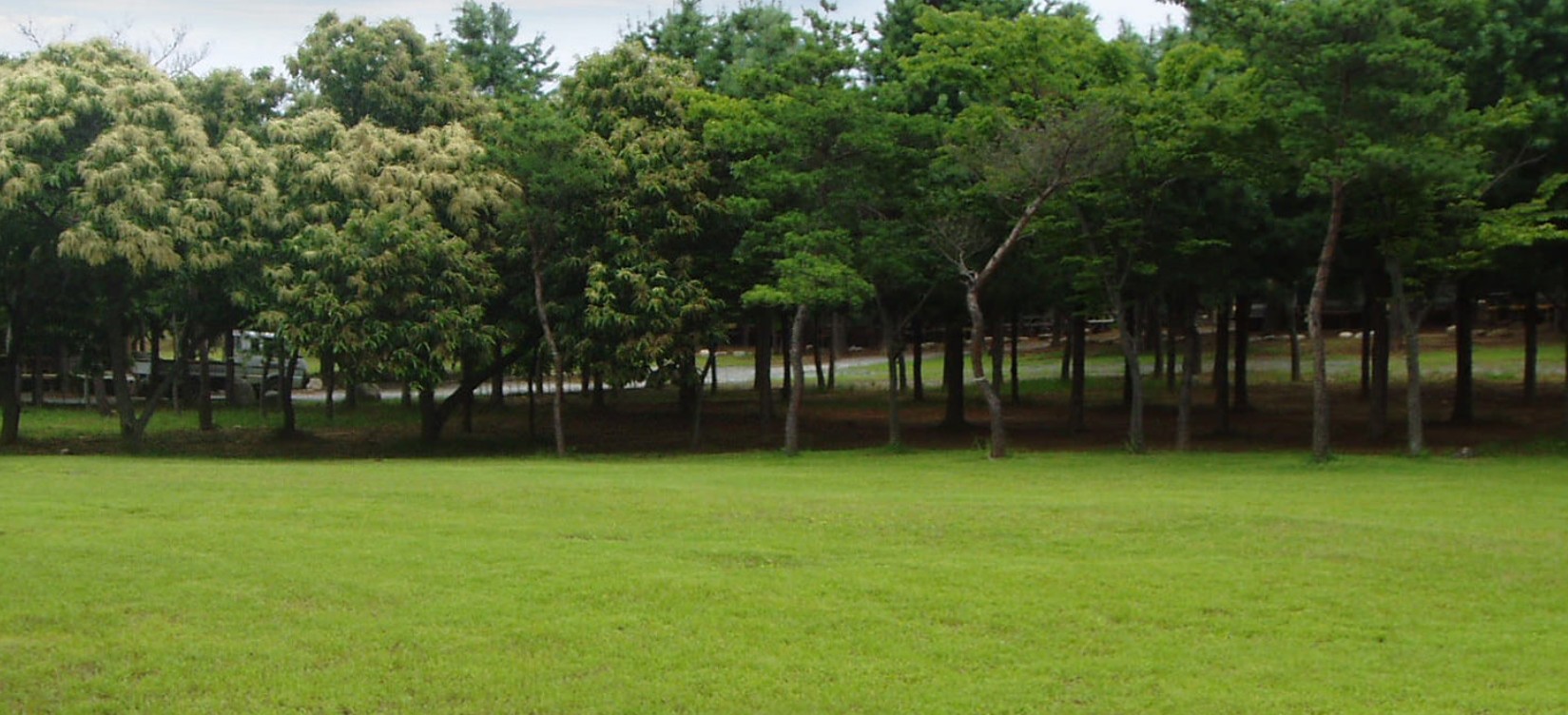 양양 솔밭가족캠프촌 이미지 5