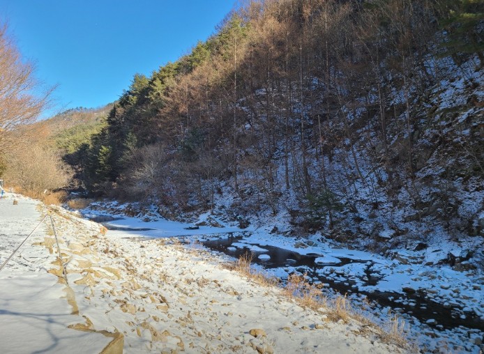 영월 남강캠프 이미지 5