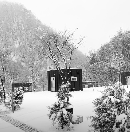 수복캠핑장 이미지 7