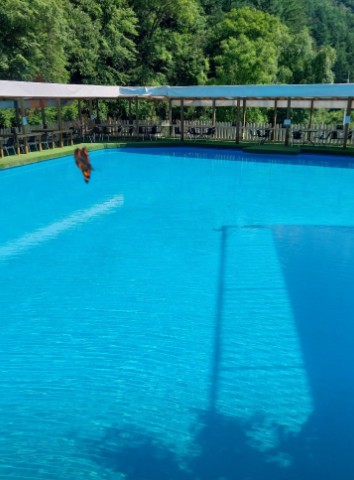 숲이야기캠핑장 이미지 5