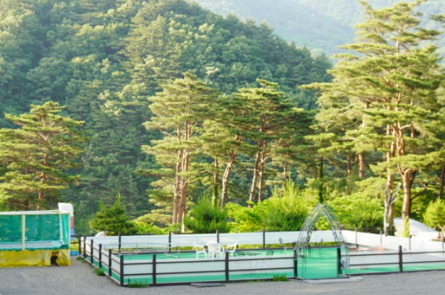 양양오색휴랜드야영장 이미지 2