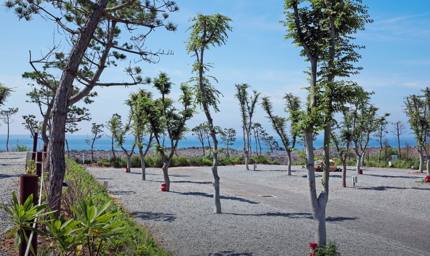 태안 파도와노을캠핑장 이미지 1