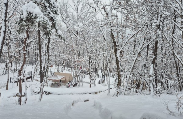 성북동숲속야영장 이미지 6