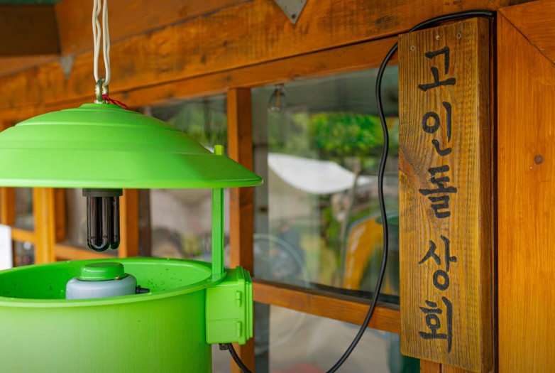 양양 고인돌캠핑장 이미지 3