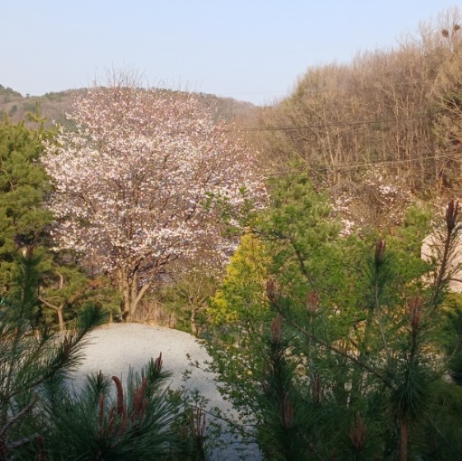 풍성채 캠핑장 이미지 2