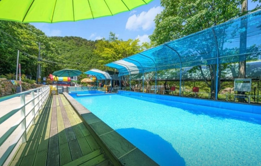 경주 그린하우스캠핑장 이미지 4
