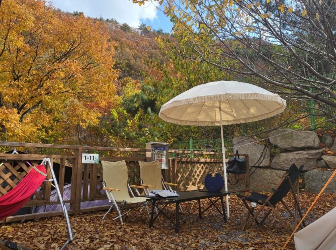 전원일기펜션오토캠핑장 이미지 1