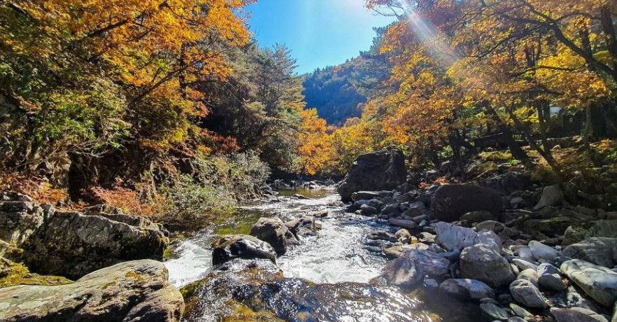 가리왕산자연휴양림오토캠프장 이미지 2