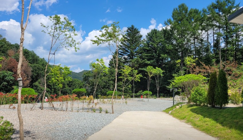 우니메이카 춘천점 이미지 3