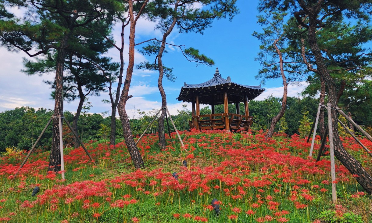 하기숲캠핑장 이미지 3